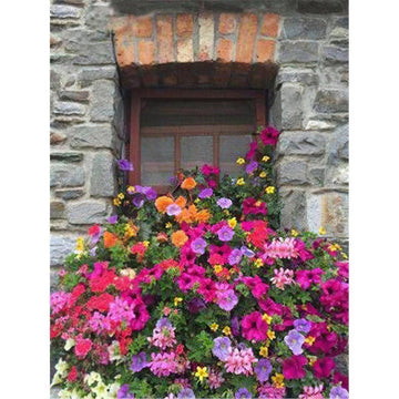 Diamond Paintings - Colored Flowers On Window Sill