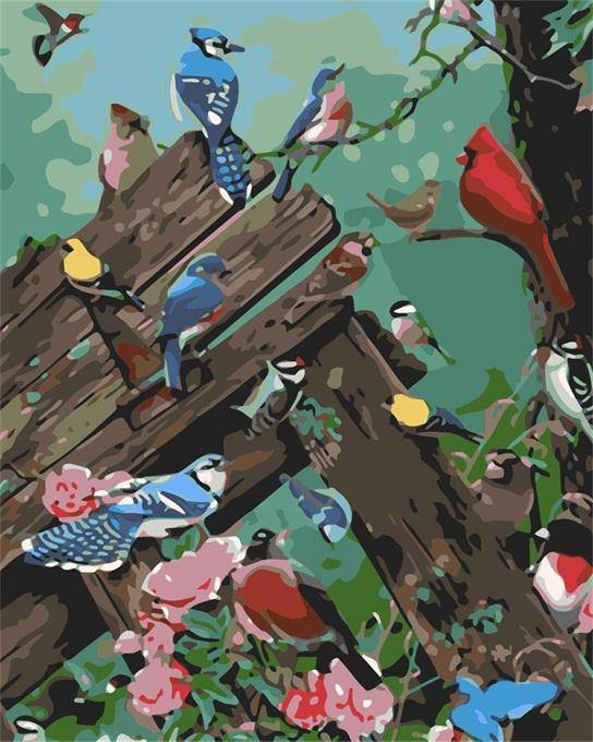Paint by Numbers Kit - Colorful Birds party