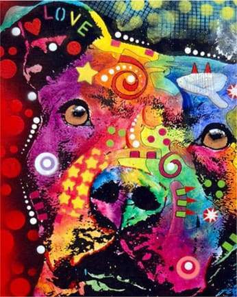 Paint by Numbers Kit - Colorful Dog