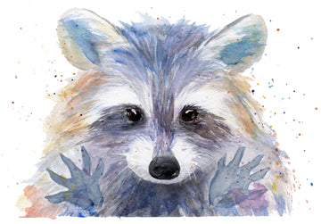 Diamond Paintings - Colorful Raccoon