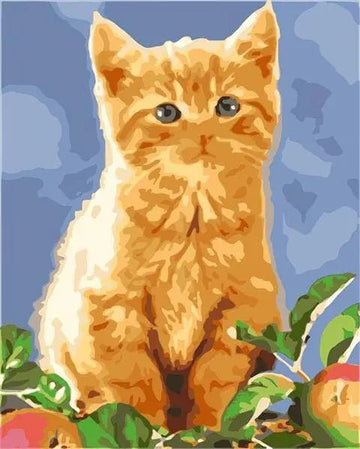 Paint by Numbers Kit - Cute Golden Cat