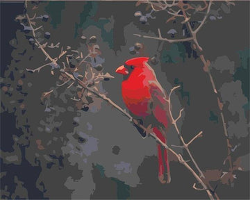 Paint by Numbers Kit - Cute Red Bird