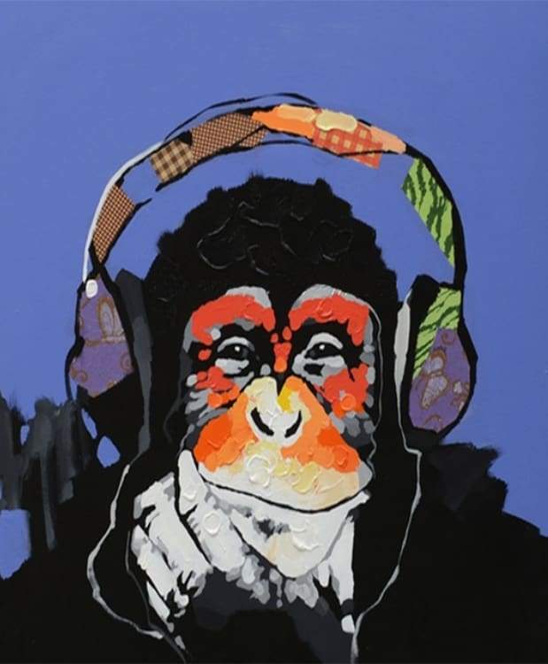Paint by Numbers Kit - DJ Monkey