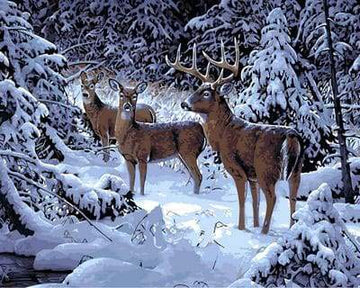 Paint by Numbers Kit - Deer in the Snow
