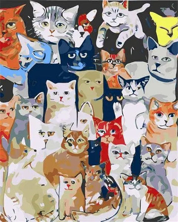 Paint by Numbers Kit - Different Coloured Cat