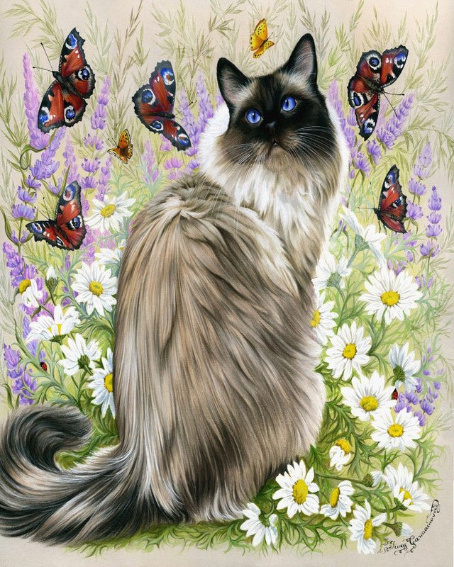 Paint by Numbers Kit - Discovery of butterflies
