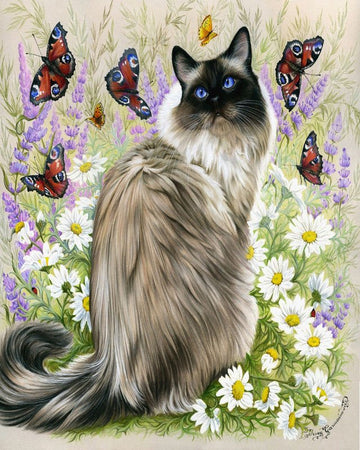 Paint by Numbers Kit - Discovery of butterflies