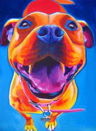 Paint by Numbers Kit - Dog Color Language