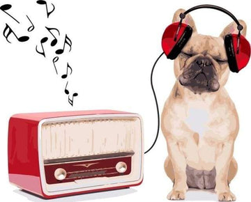 Paint by Numbers Kit - Dog Listening to Music