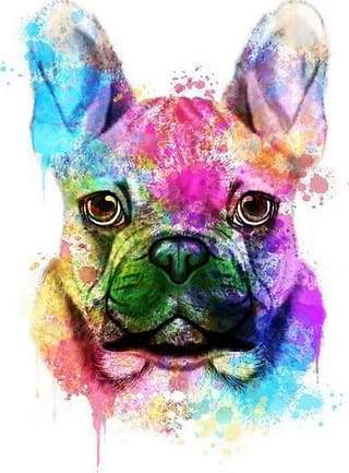 Paint by Numbers Kit - Dog Portrait in Color