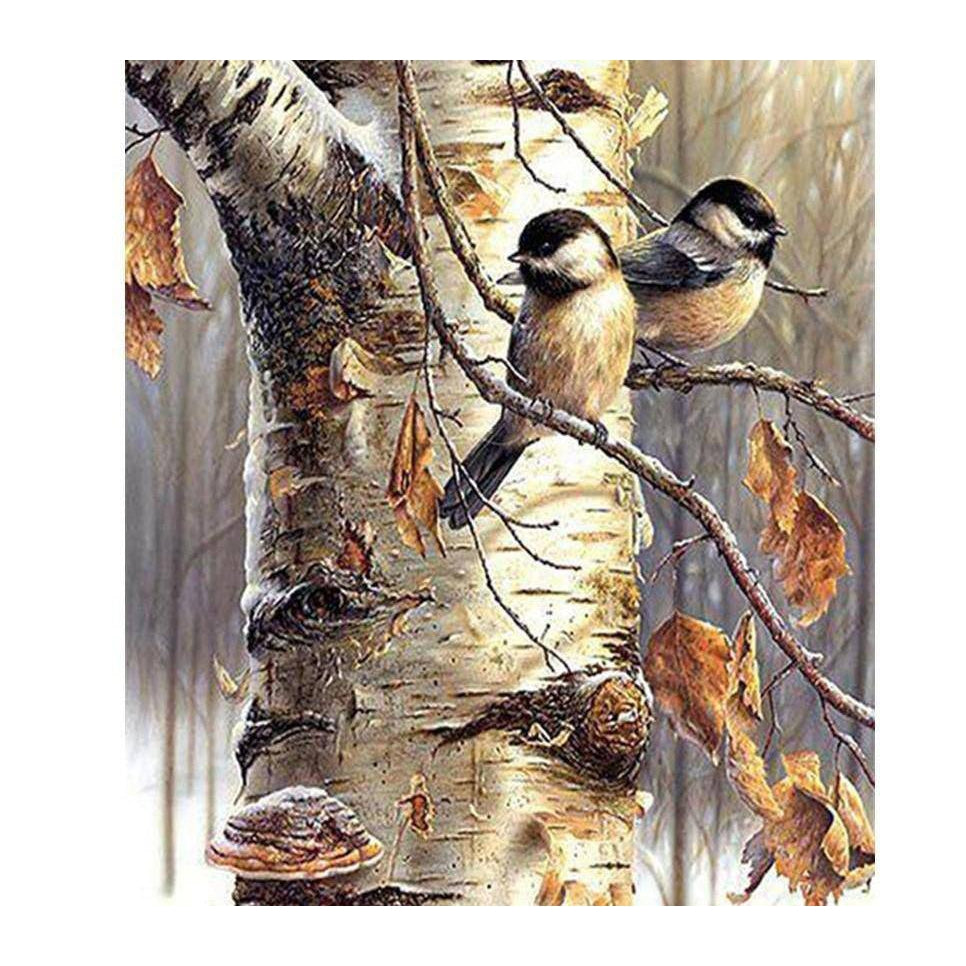 Diamond Paintings - Drill Birds