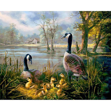 Diamond Paintings - Ducks