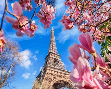 Paint by Numbers Kit - Eiffel Tower with Flowers