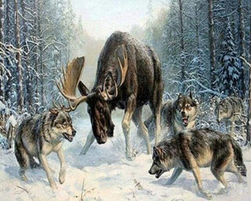 Paint by Numbers Kit - Elan surrounded by a pack of wolves