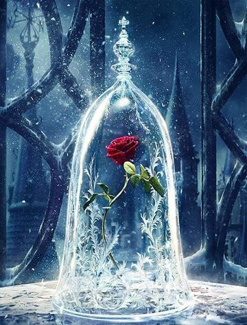 Paint by Numbers Kit - Enchanted Rose Beauty and The Beast
