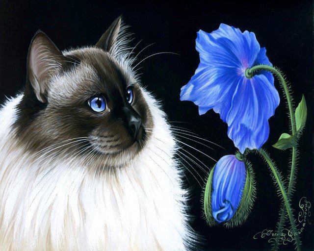 Paint by Numbers Kit - Face to face Flowers