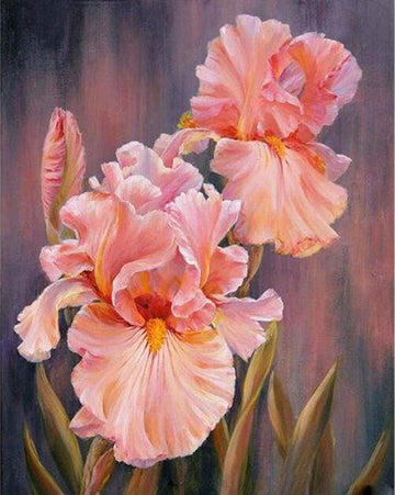 Paint by Numbers Kit - Flower in Wonderland