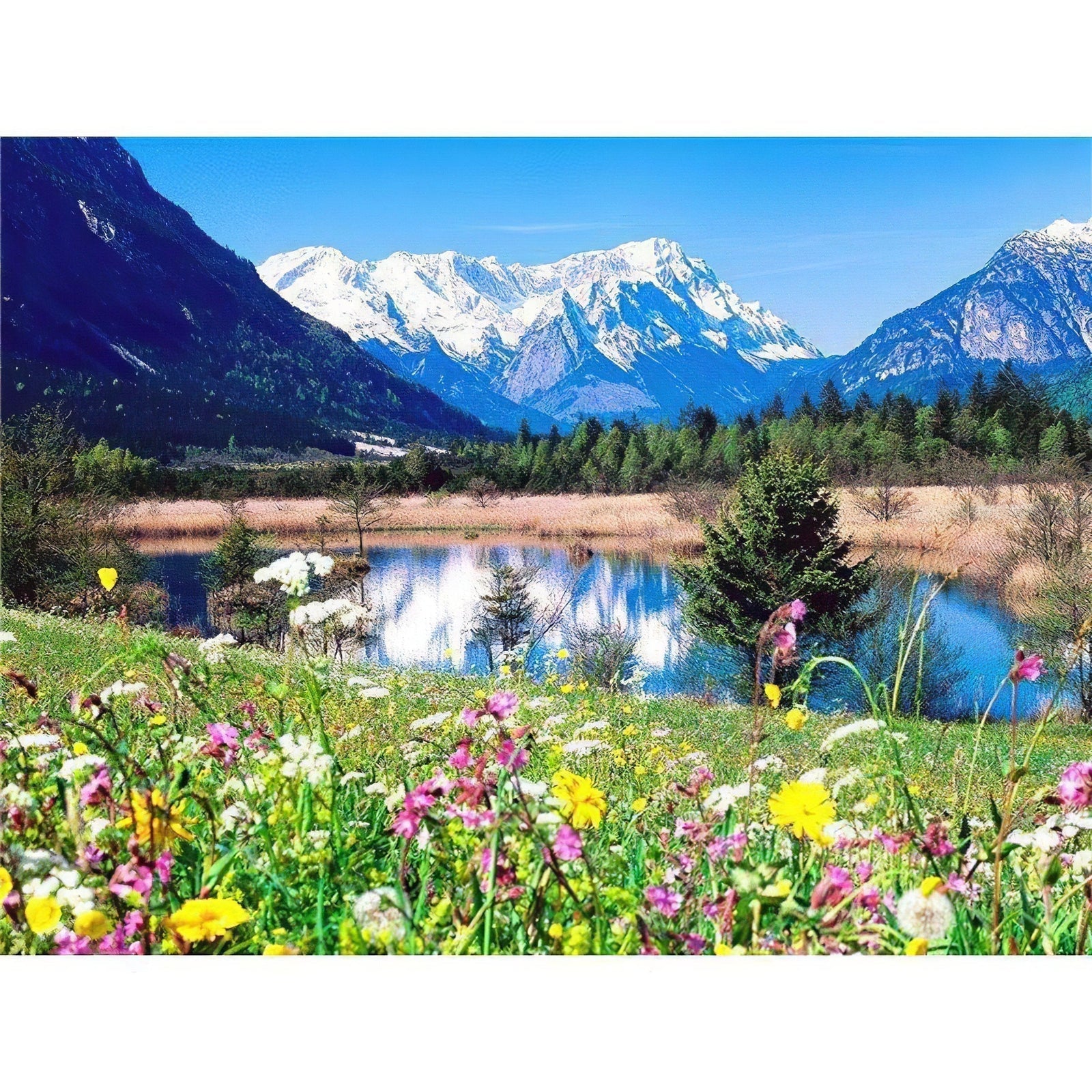 Diamond Paintings - Flowers Before River And Mountain
