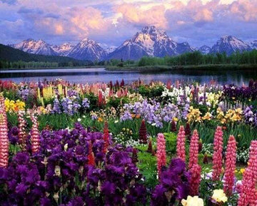 Paint by Numbers Kit - Flowers and Lake near the Mountain