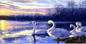 Paint by Numbers Kit - Four Swans
