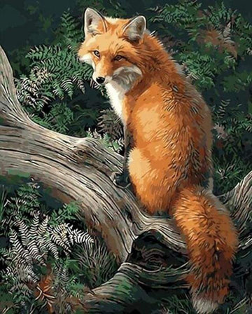 Paint by Numbers Kit - Fox in the Woods