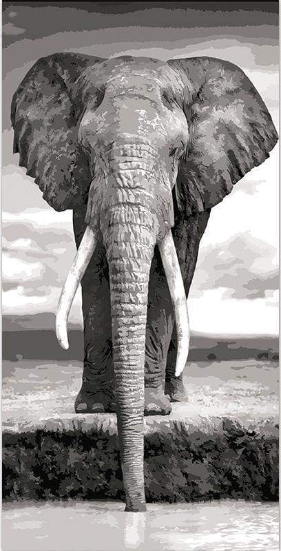 Paint by Numbers Kit - Grey Elephant