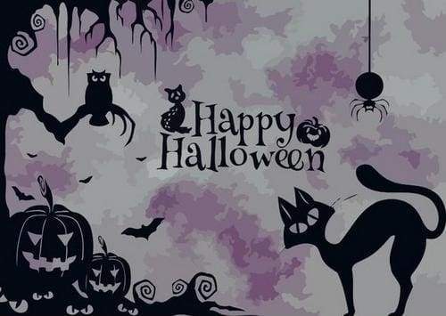 Paint by Numbers Kit - Halloween and Bats