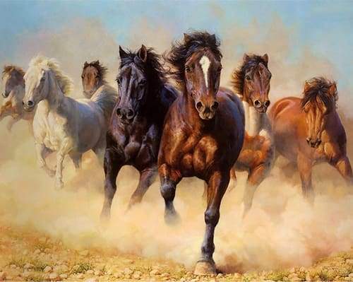 Paint by Numbers Kit - Herd of Horses