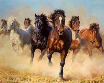 Paint by Numbers Kit - Herd of Horses