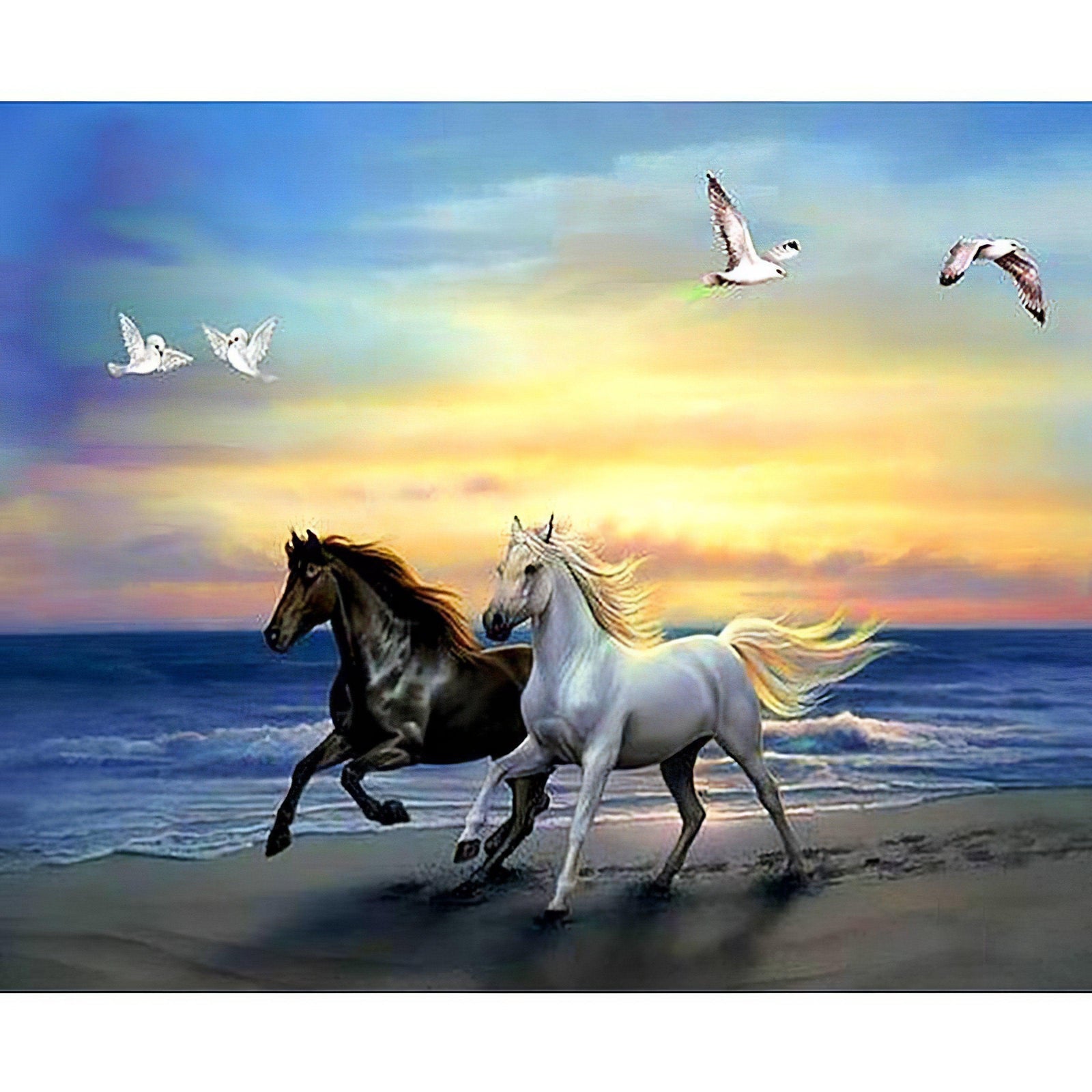 Diamond Paintings - Horse By The Sea