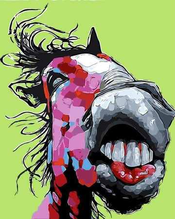 Paint by Numbers Kit - Horse Teeth