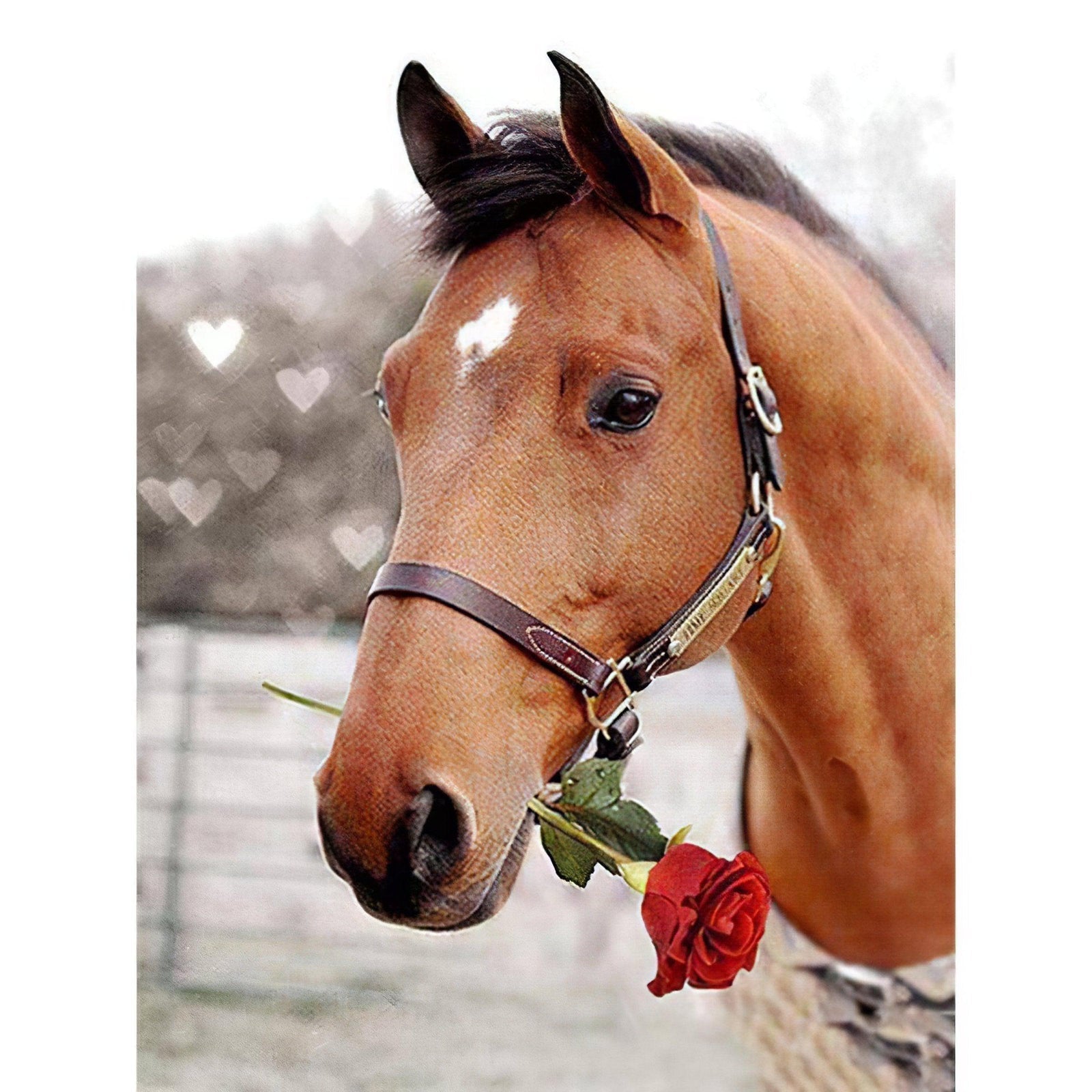Diamond Paintings - Horse With Rose In The Mouth