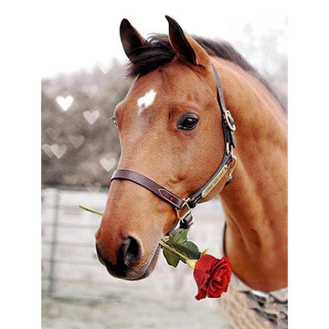 Diamond Paintings - Horse With Rose In The Mouth