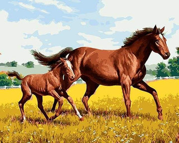 Paint by Numbers Kit - Horse and Foal in the field