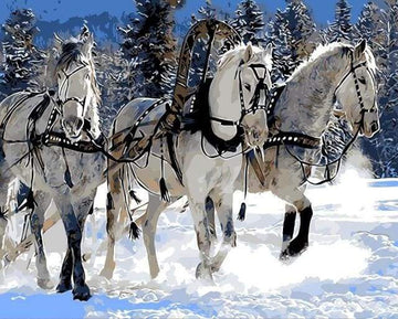 Paint by Numbers Kit - Horse ballad in the Snow