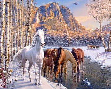Paint by Numbers Kit - Horses during winter near the river