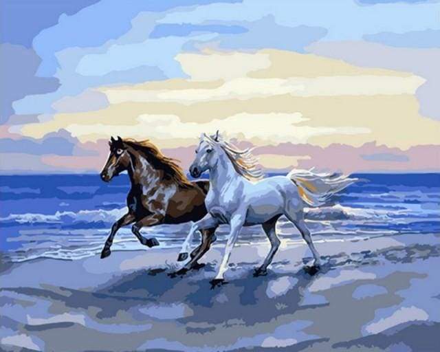 Paint by Numbers Kit - Horses on the beach