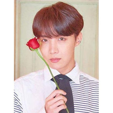 Diamond Paintings - J-Hope BTS K-pop Kpop