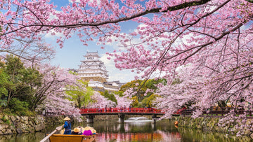 Diamond Paintings - Japanese Cherry Blossom on a River