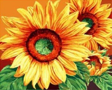 Paint by Numbers Kit - Large Sunflowers