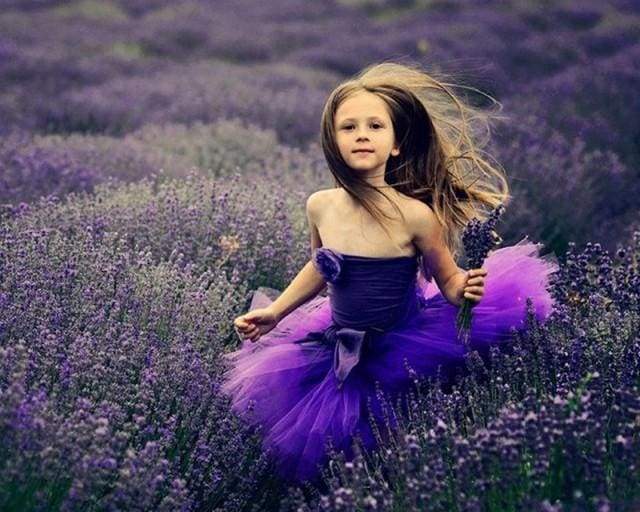 Paint by Numbers Kit - Lavender Girl