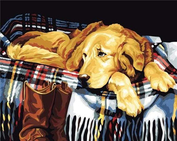 Paint by Numbers Kit - Lazy dog