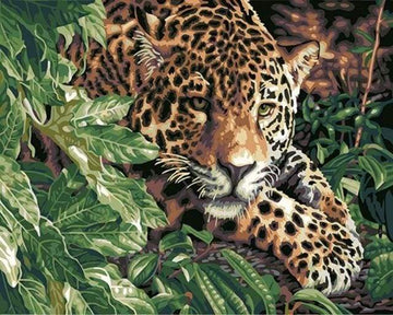Paint by Numbers Kit - Leopard on the lookout