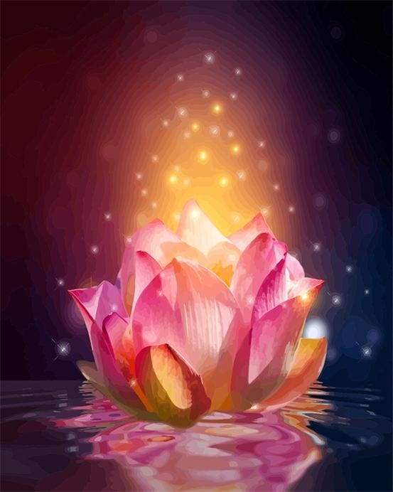 Paint by Numbers Kit - Light Floating Lotus