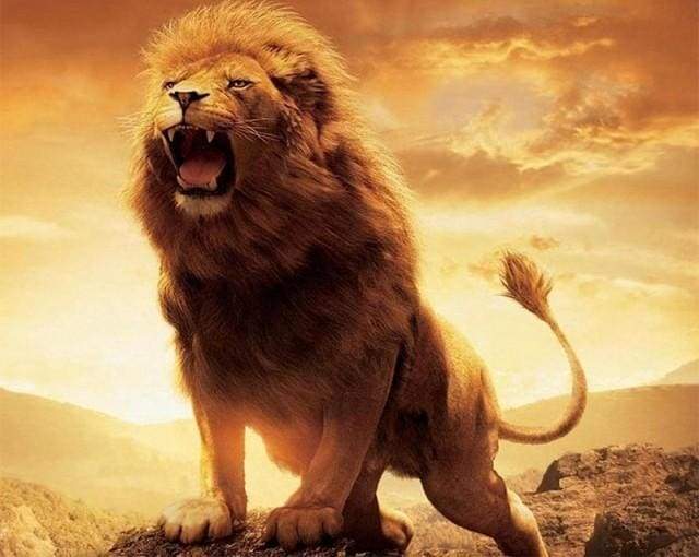 Paint by Numbers Kit - Lion in Force