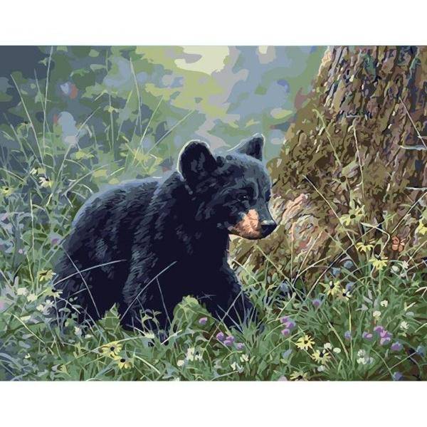 Paint by Numbers Kit - Little Bear