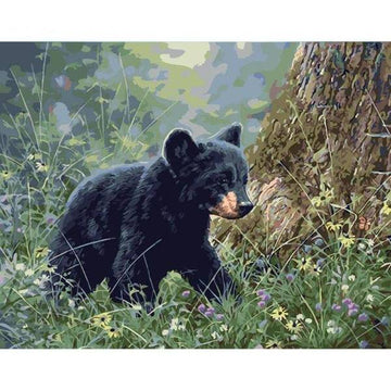 Paint by Numbers Kit - Little Bear