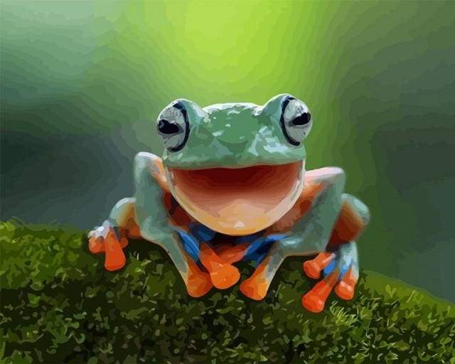 Paint by Numbers Kit - Little Frog