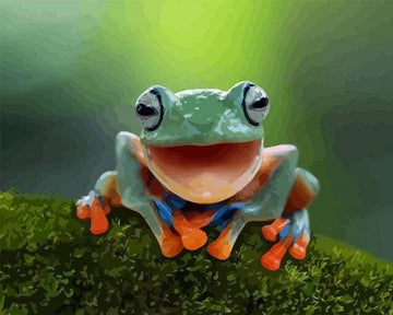Paint by Numbers Kit - Little Frog