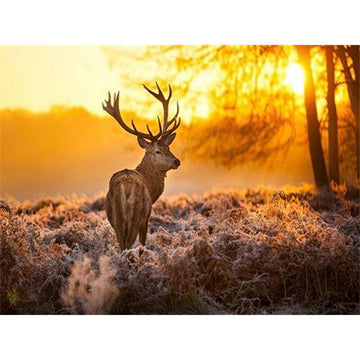 Diamond Paintings - Lonely Deer And Sunshine